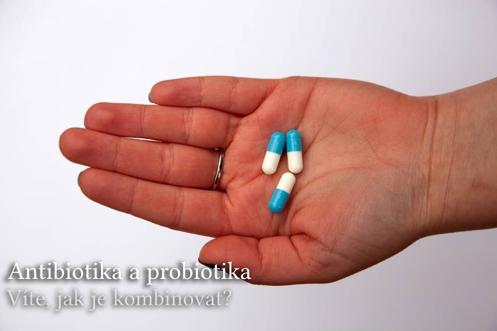 antibiotika a probiotika